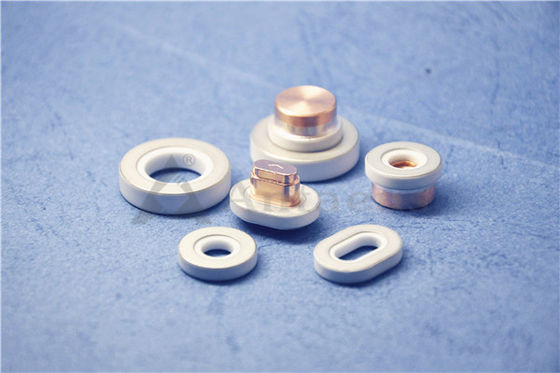 Metallized 95% AL2O3 Alumina Ceramic Insulator For Battery